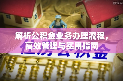 天山解析公积金业务办理流程，高效管理与实用指南