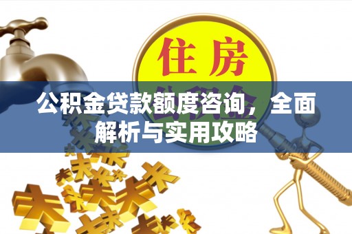 天山公积金贷款额度咨询，全面解析与实用攻略
