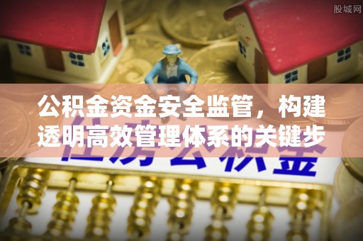 天山公积金资金安全监管，构建透明高效管理体系的关键步骤