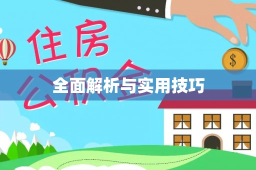 天山全面解析与实用技巧