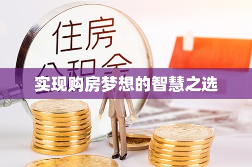天山实现购房梦想的智慧之选
