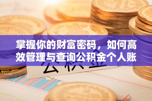 天山掌握你的财富密码，如何高效管理与查询公积金个人账户信息
