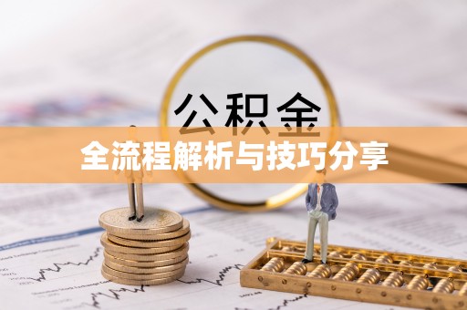 天山全流程解析与技巧分享