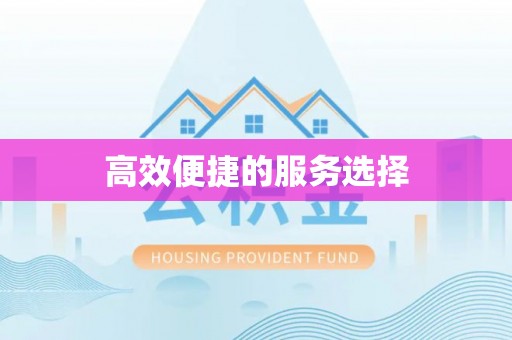 天山高效便捷的服务选择