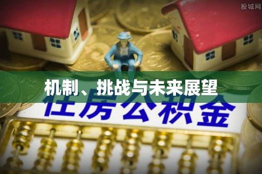天山机制、挑战与未来展望